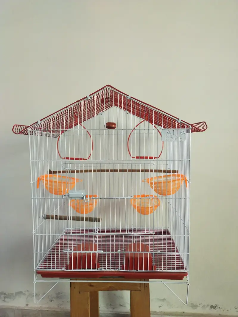 cage for all type of bitds. — photo 3