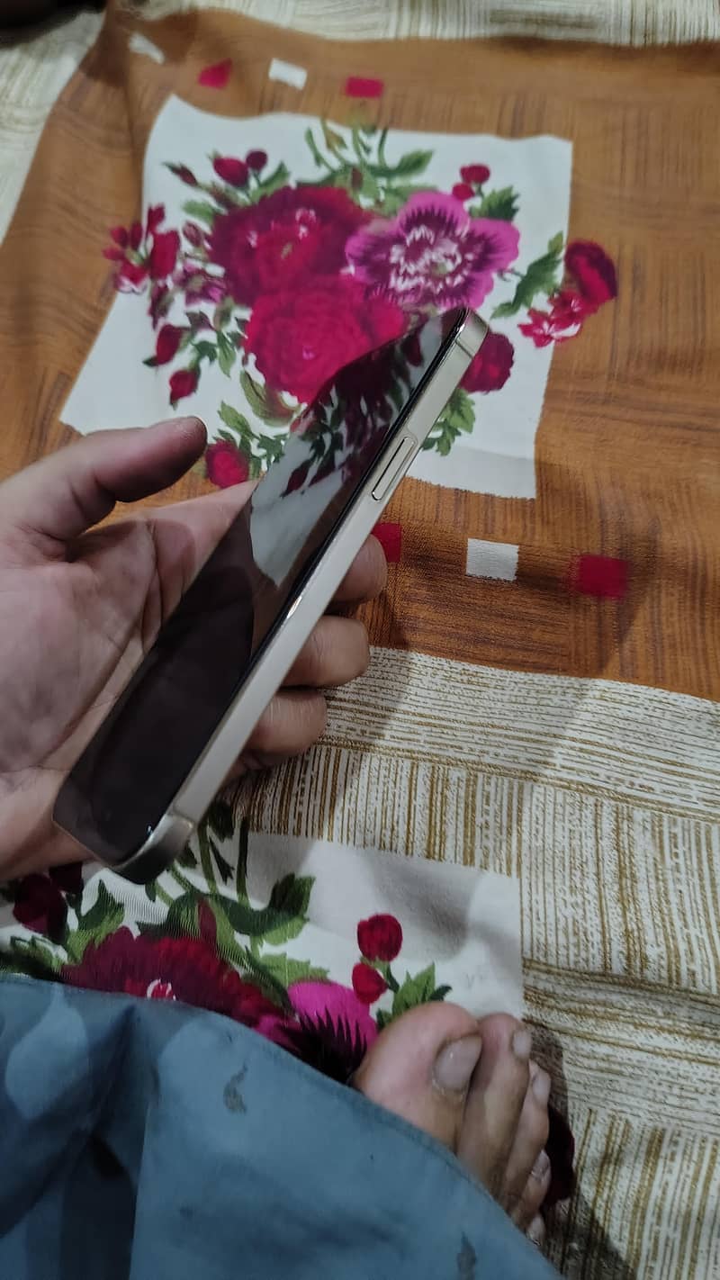 Apple iPhone 12 Pro Max 2