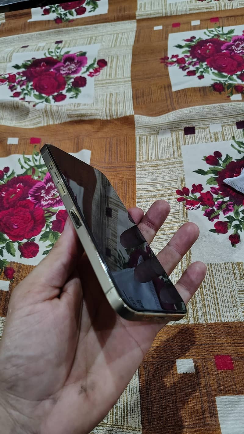 Apple iPhone 12 Pro Max 3
