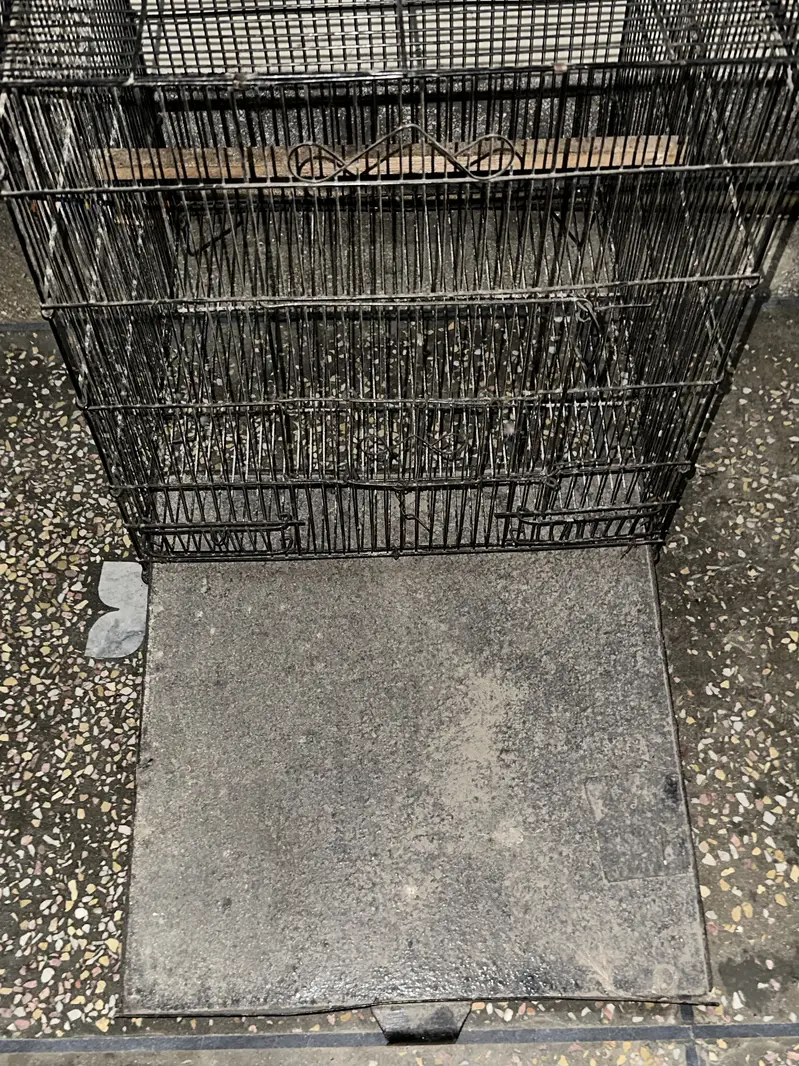 One piece price — photo 3