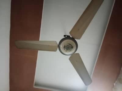 used fan