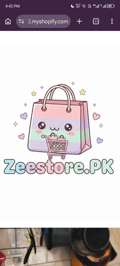 Zeestore 