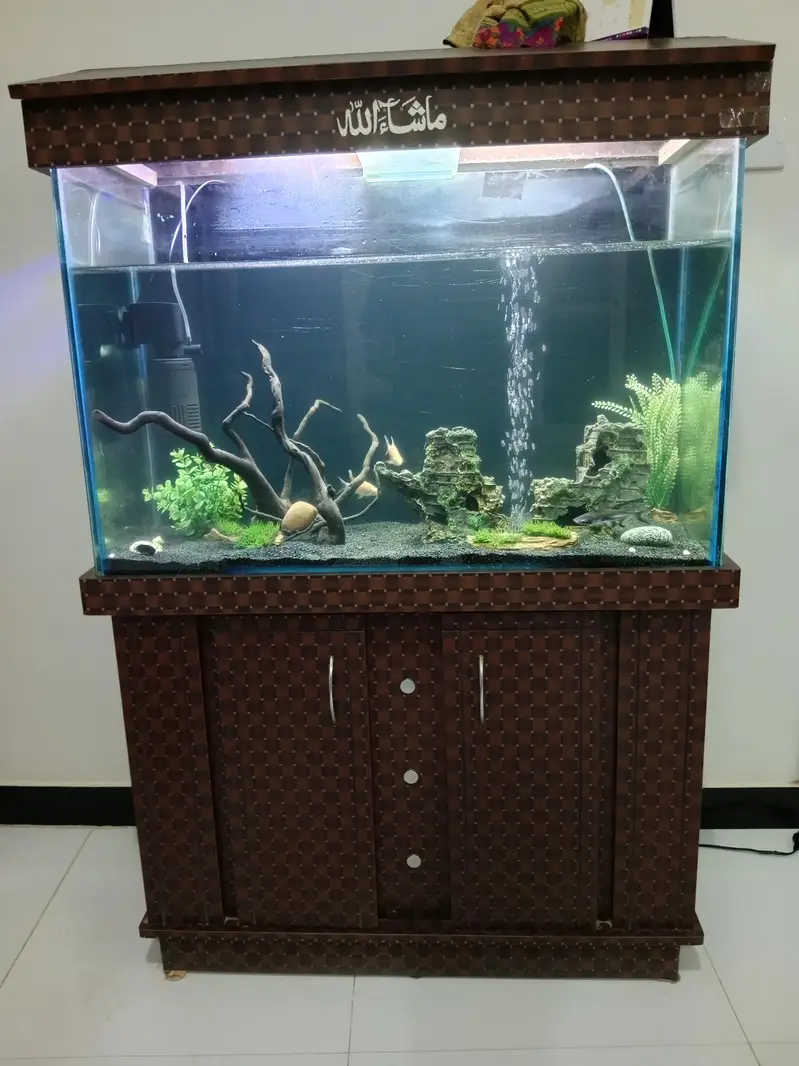 3ft aquarium for sale