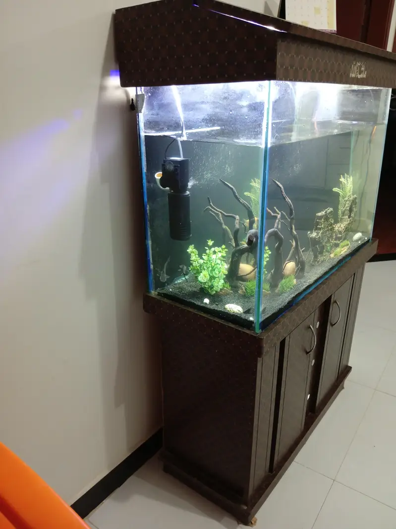 3ft aquarium for sale — photo 2