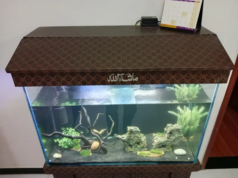 3ft aquarium for sale — photo 3