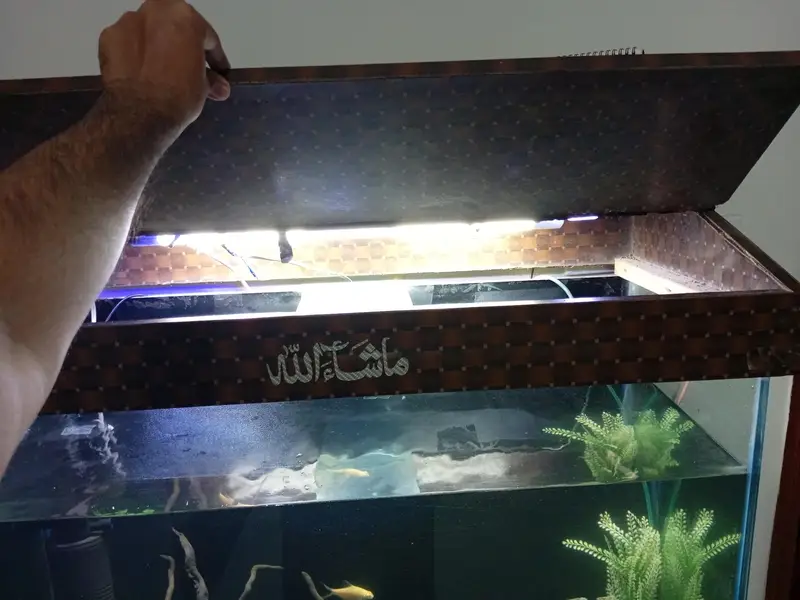 3ft aquarium for sale — photo 6