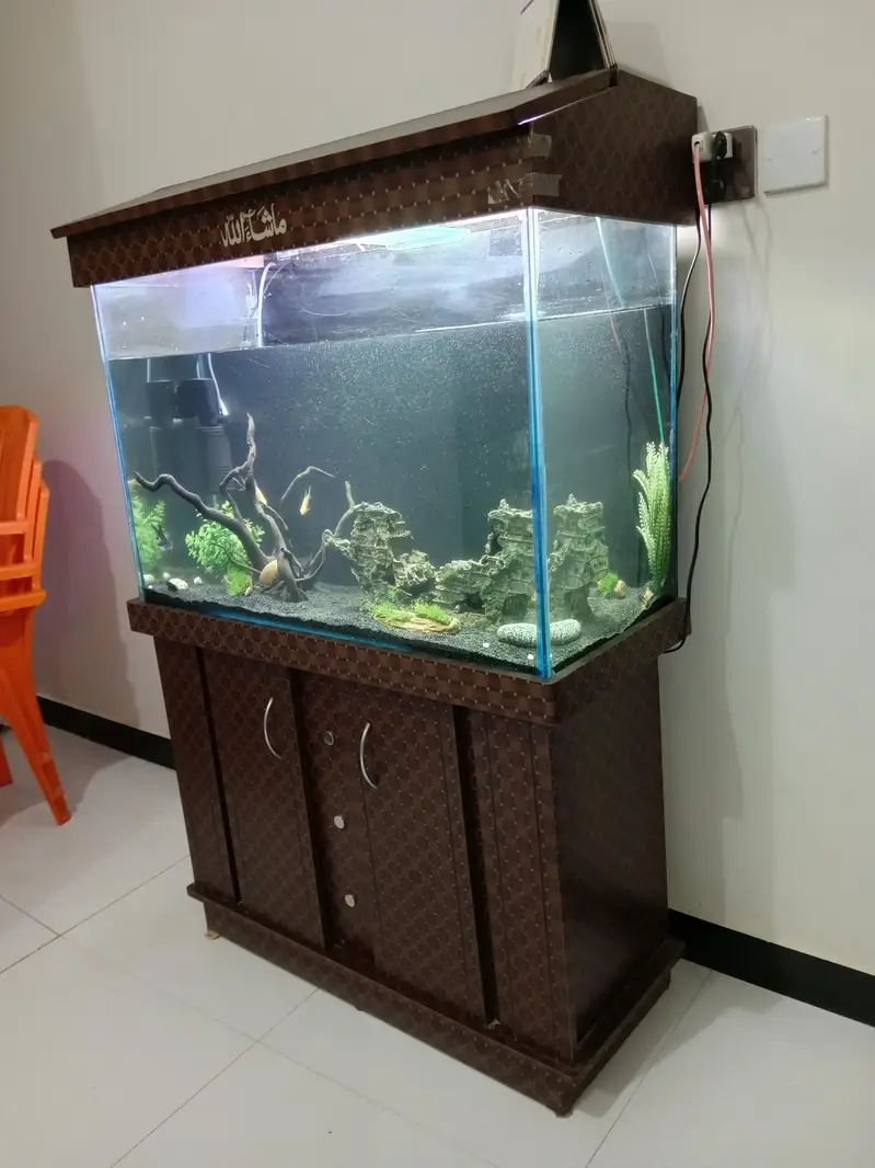 3ft aquarium for sale — photo 7