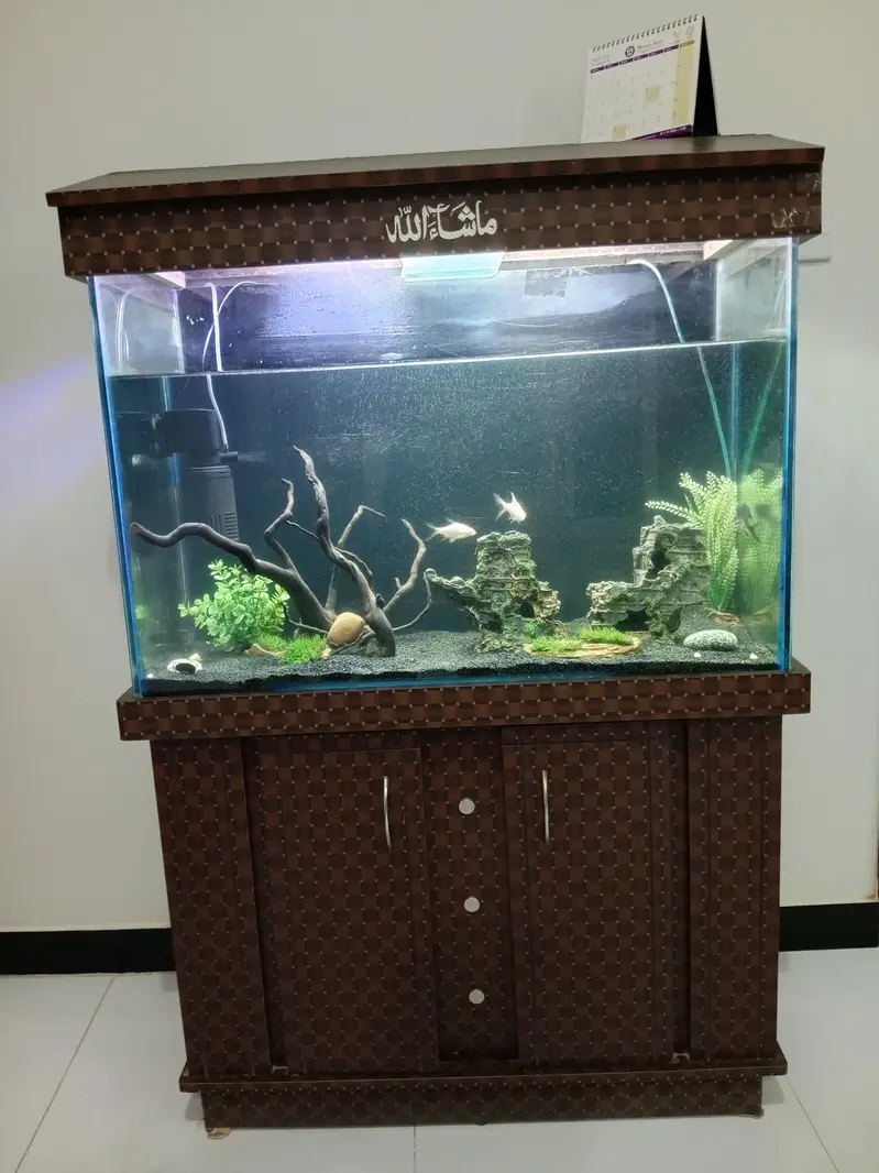 3ft aquarium for sale — photo 8