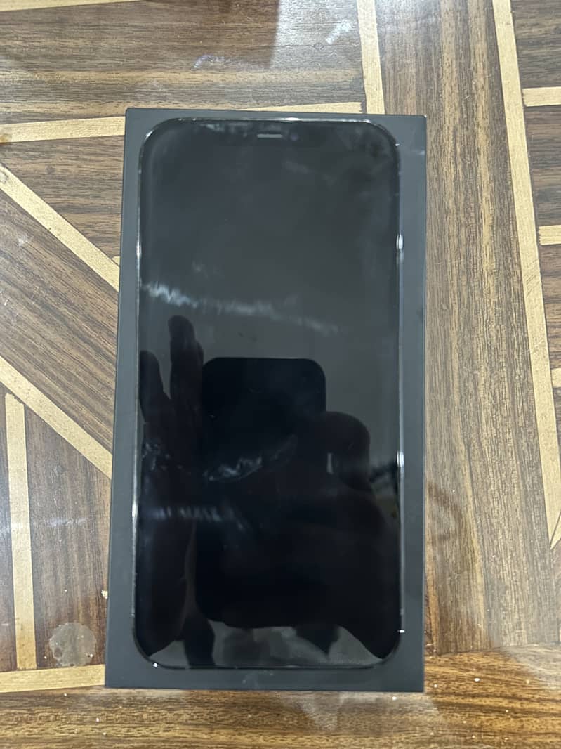 Apple iPhone 12 Pro Max 1