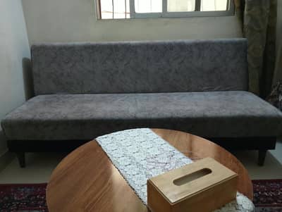 Sofa-cum-Bed ( New like)