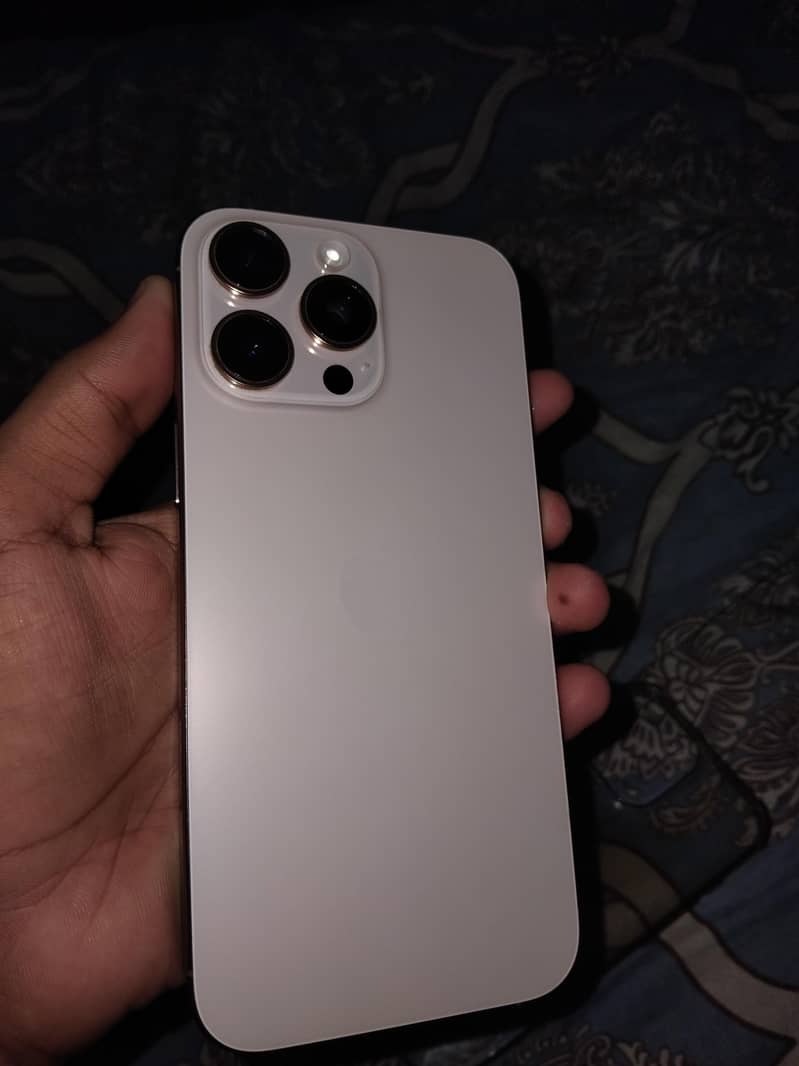 Apple iPhone 16 Pro Max 1