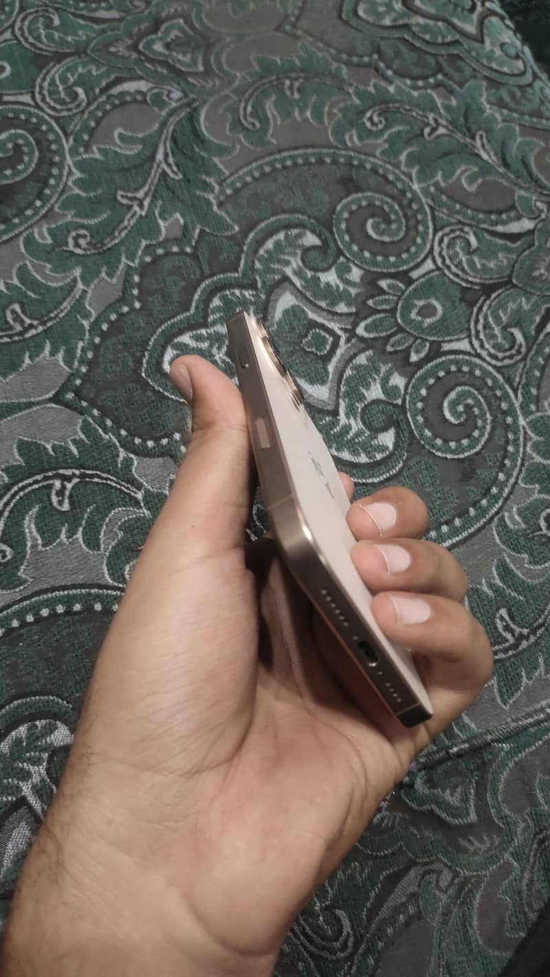 Apple iPhone 16 Pro Max 3