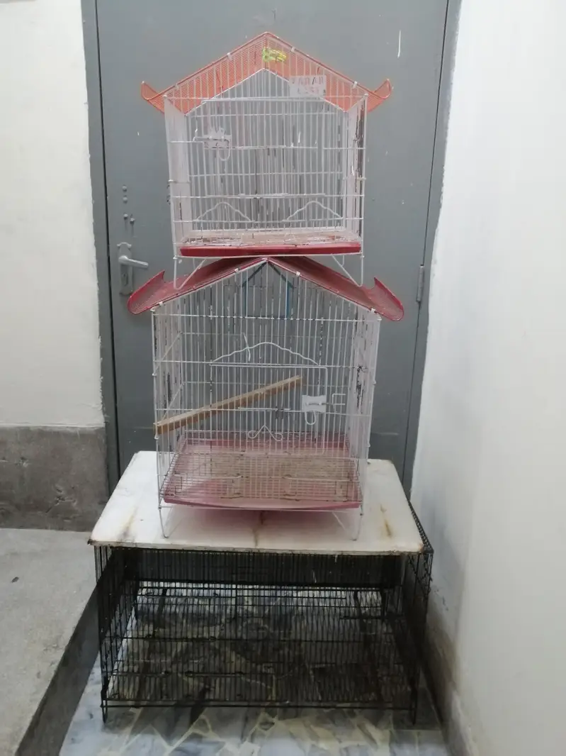 3 cages for sale