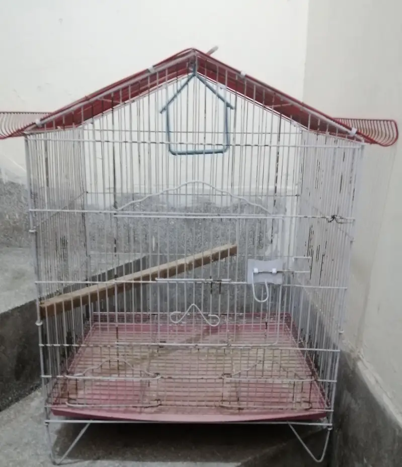 3 cages for sale — photo 4