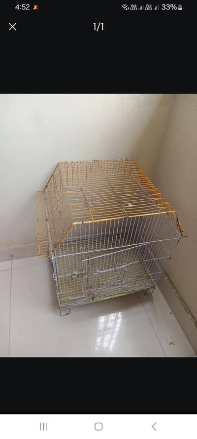 Parrot Cage