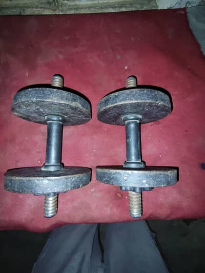 Dumbbells Pair