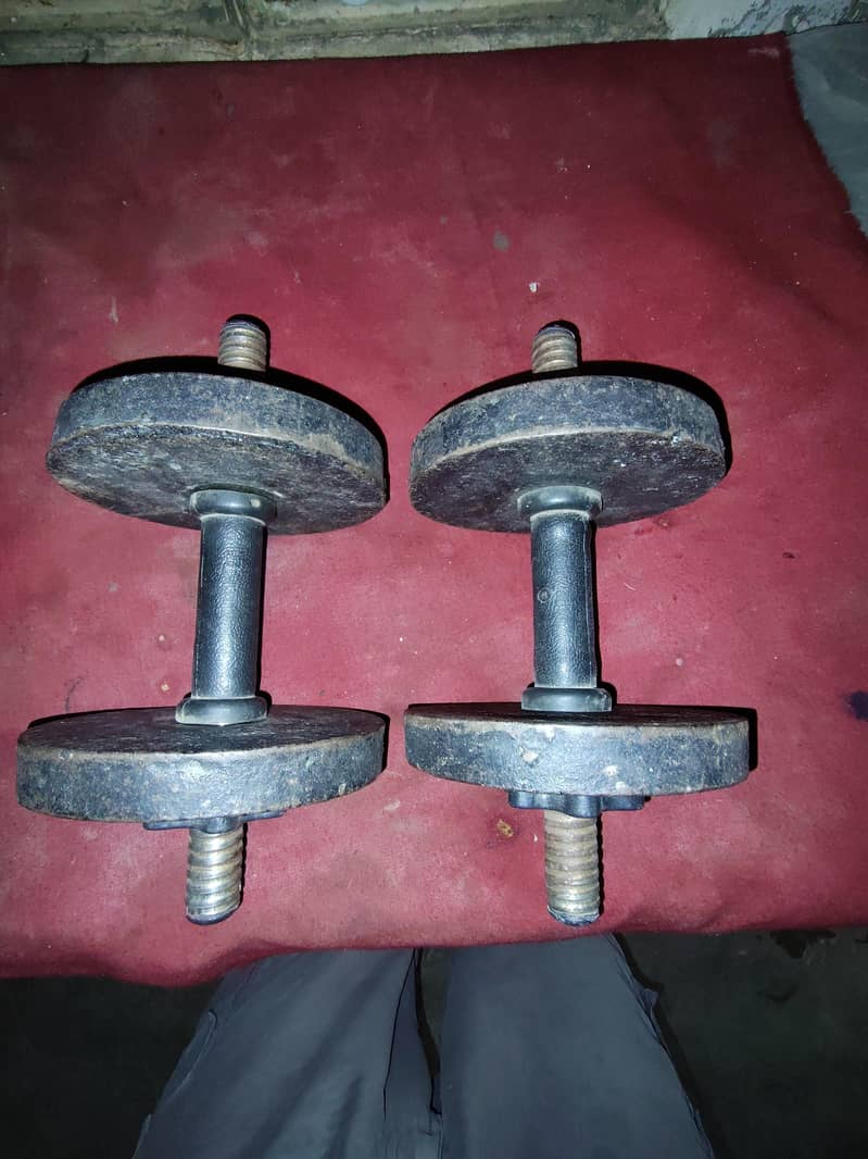 Dumbbells Pair 0