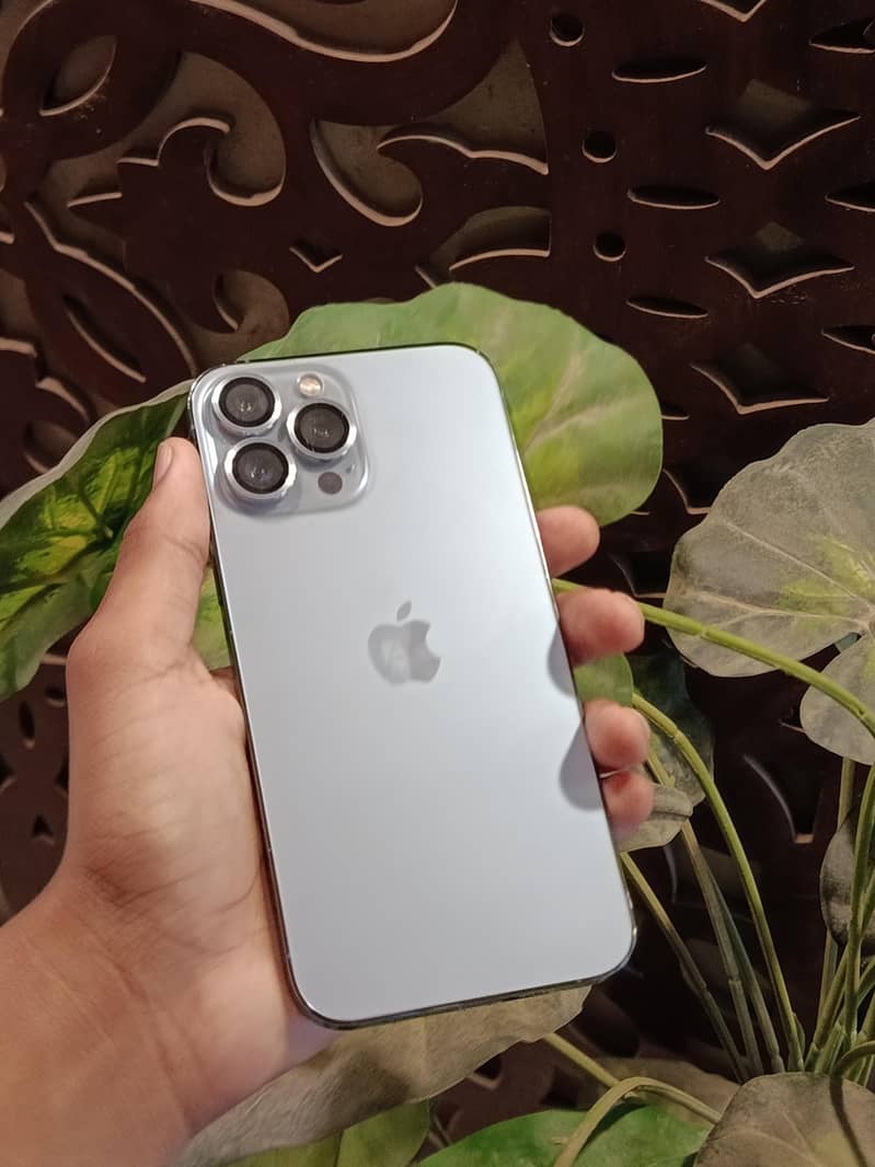 Apple iPhone 13 Pro Max 1