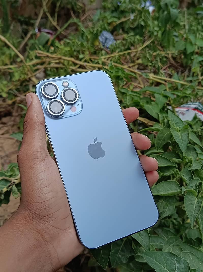Apple iPhone 13 Pro Max 2