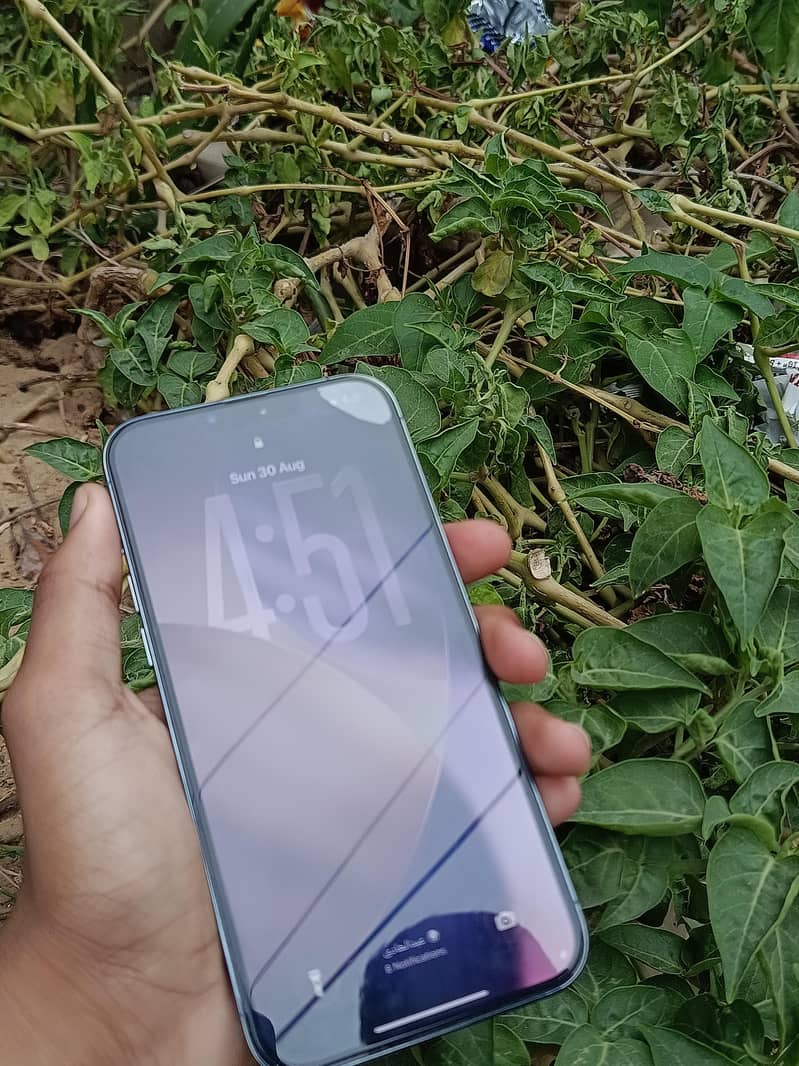 Apple iPhone 13 Pro Max 3