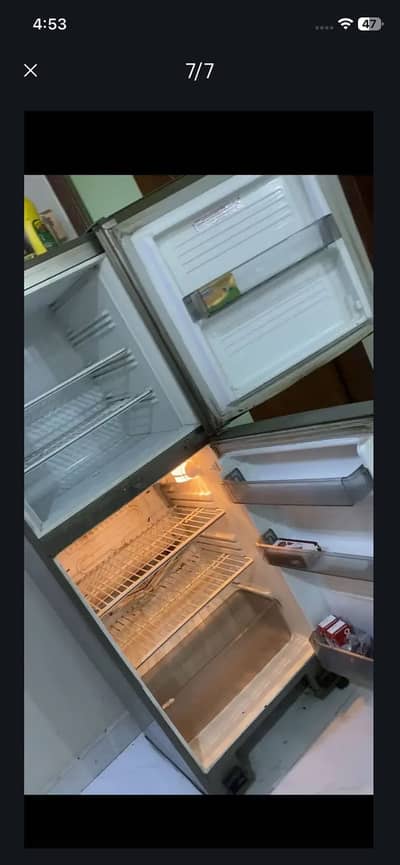 Desire pel fridge medium size