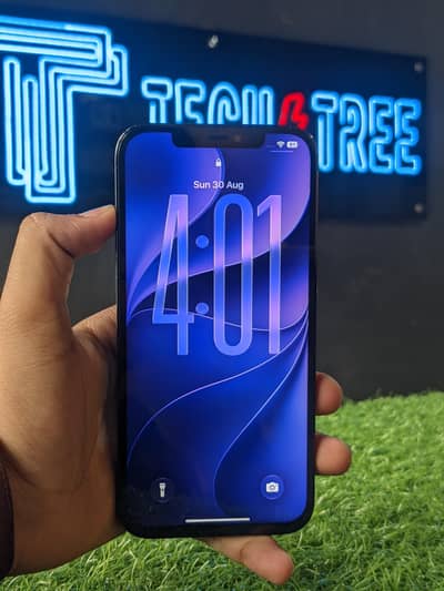 Apple iPhone 12 Pro Max