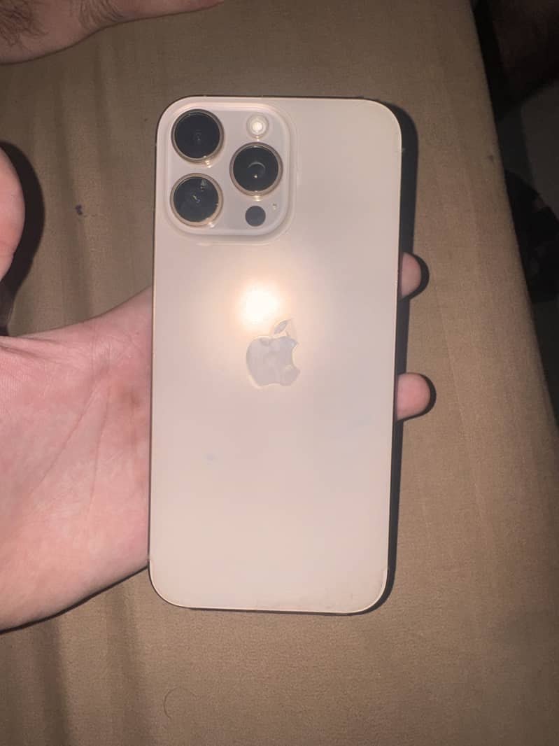 Apple iPhone 16 Pro Max 1