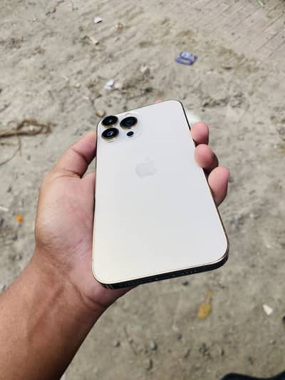 Apple iPhone 13 Pro Max