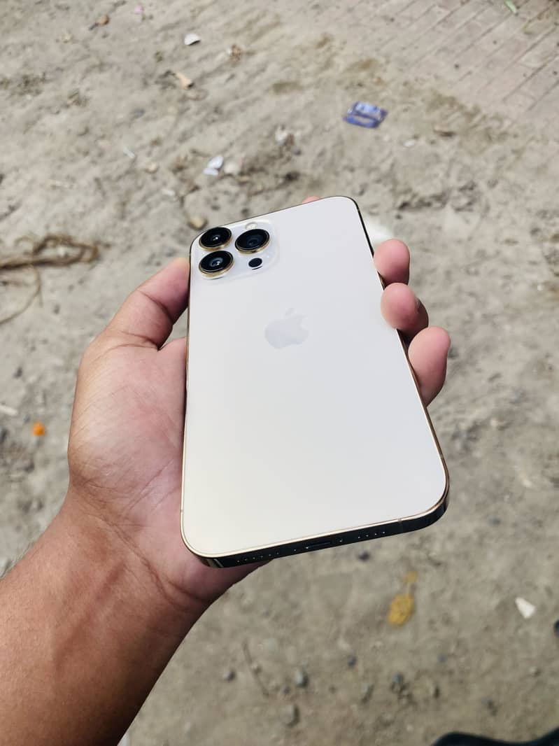 Apple iPhone 13 Pro Max 0