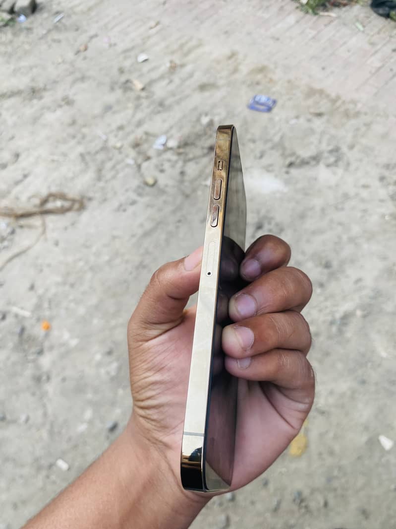 Apple iPhone 13 Pro Max 1