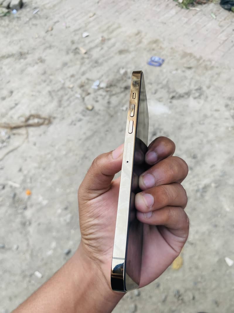 Apple iPhone 13 Pro Max 2