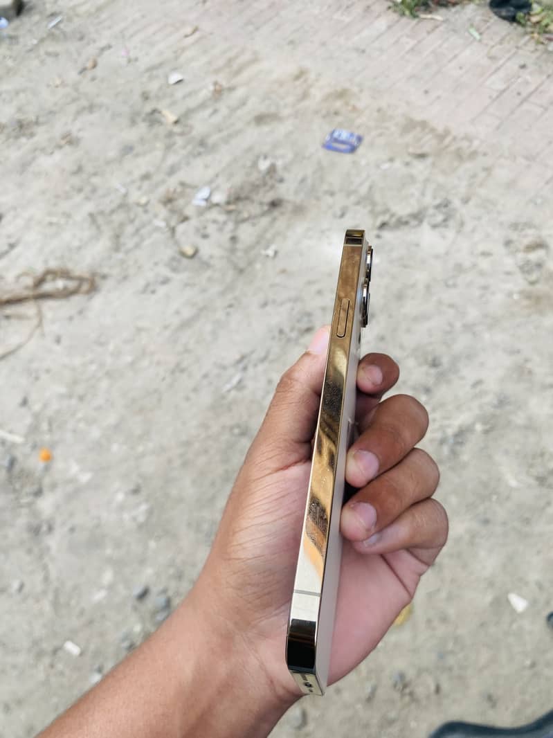 Apple iPhone 13 Pro Max 4