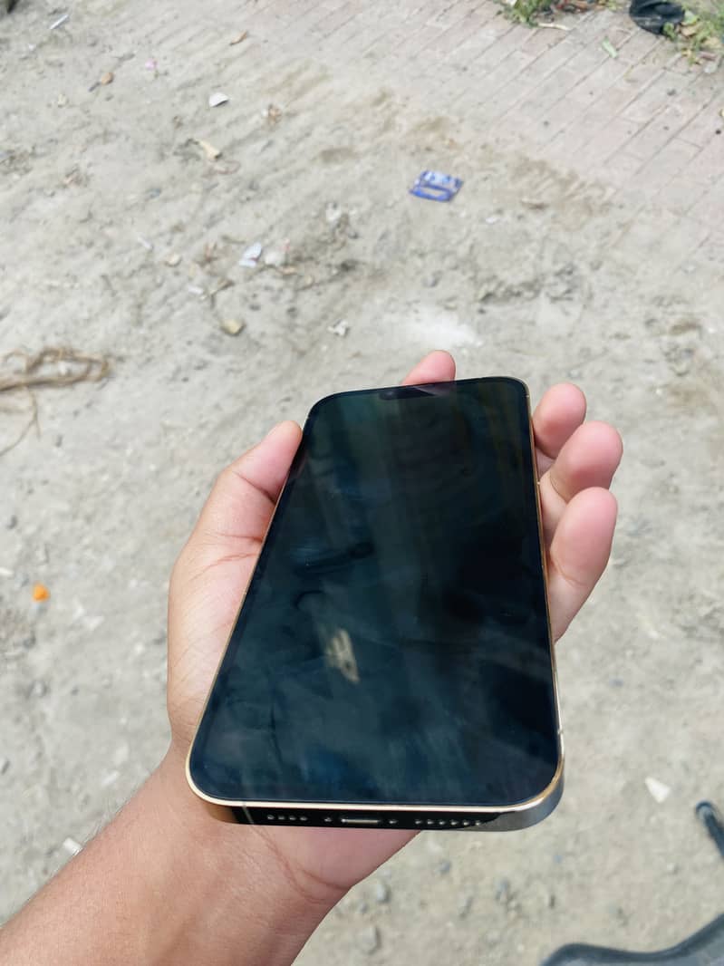 Apple iPhone 13 Pro Max 5