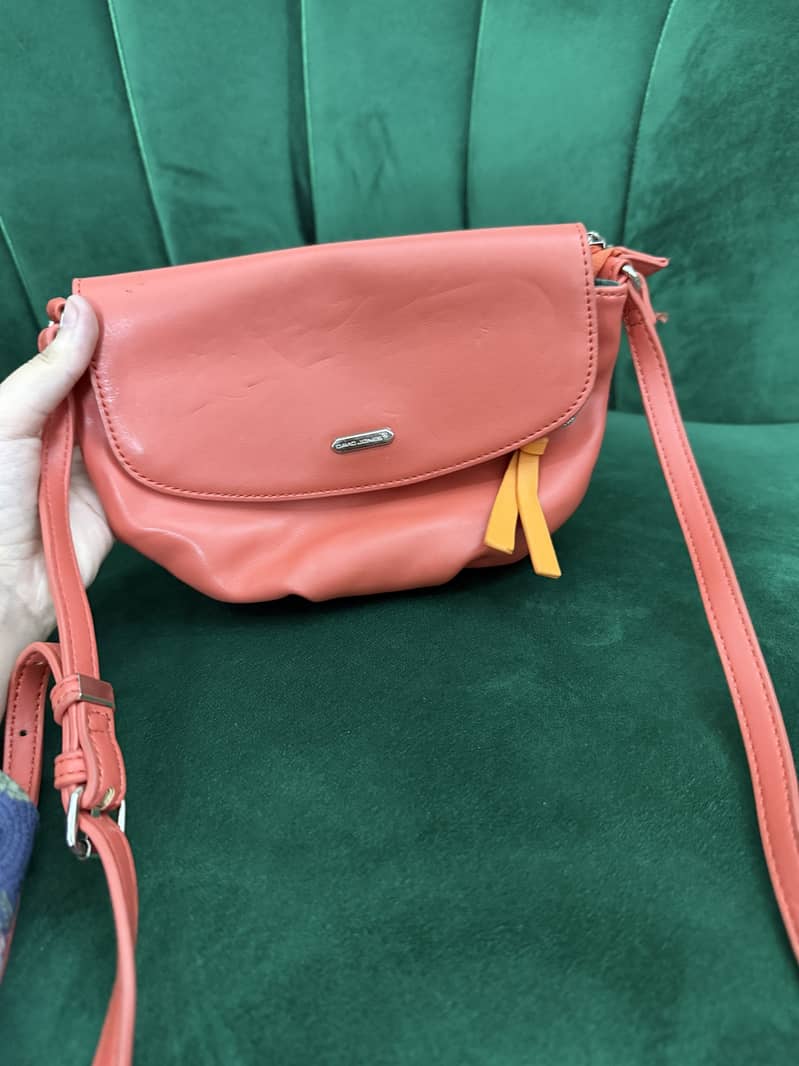 Branded Purses 4