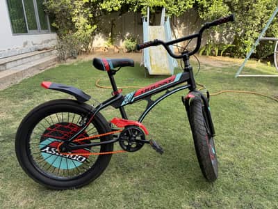 Safari cycle