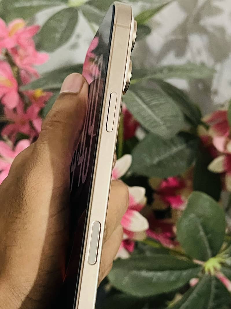 Apple iPhone 16 Pro Max 1