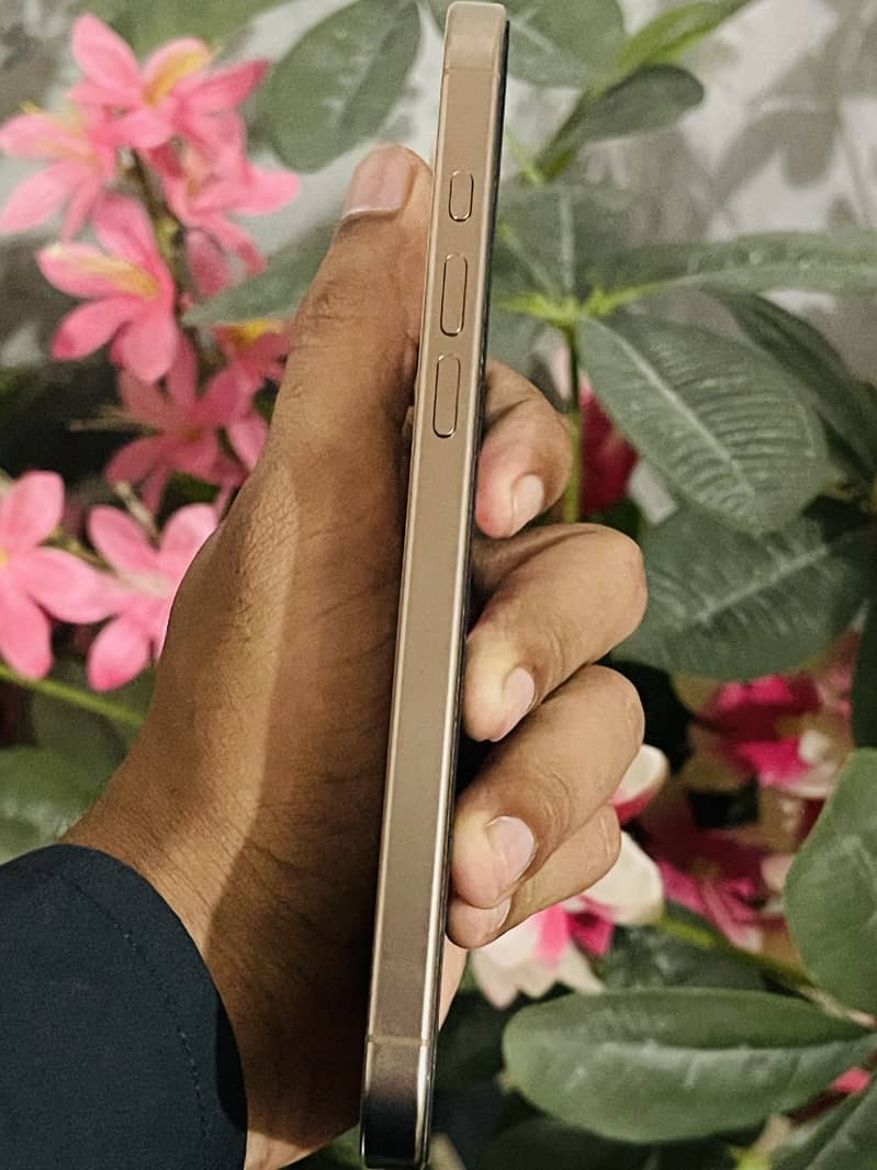 Apple iPhone 16 Pro Max 3