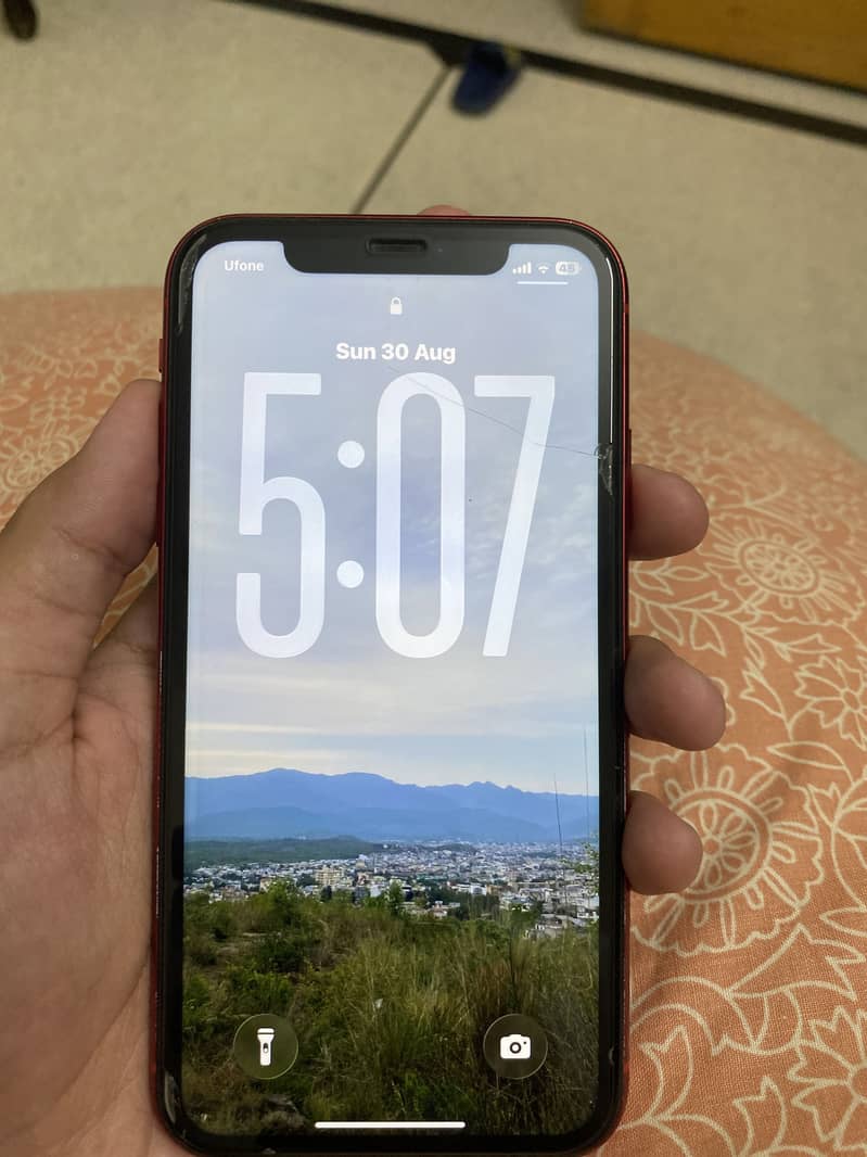 Apple iPhone 11 0