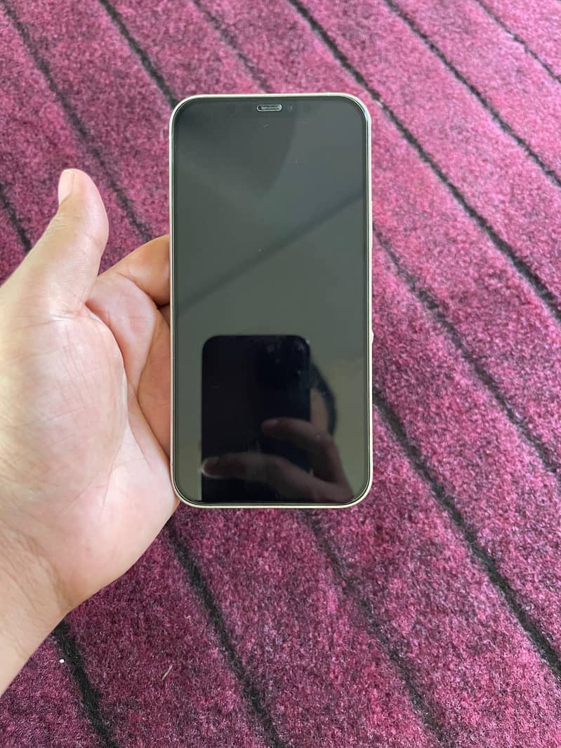 Apple iPhone 12 Pro 1