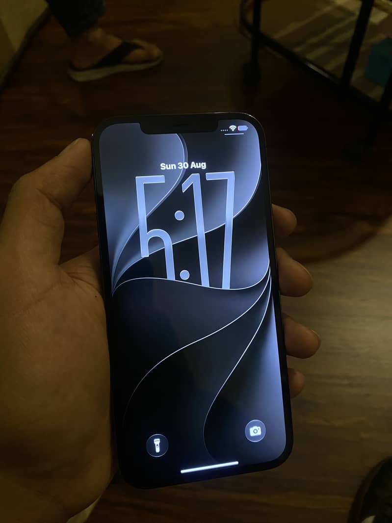 Apple iPhone 12 Pro Max 5