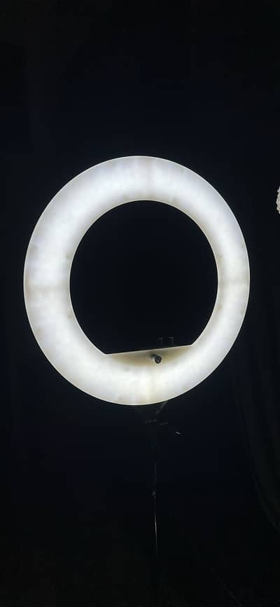 Professional ring light