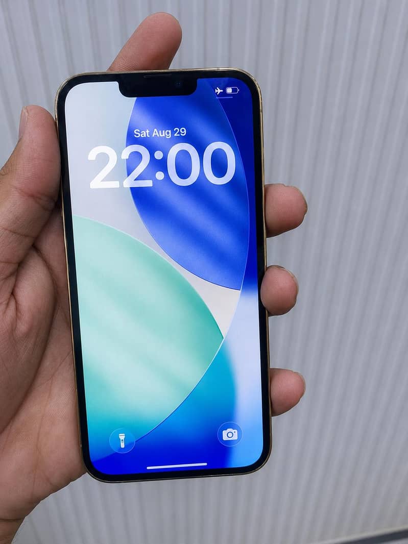 Apple iPhone 13 Pro 0
