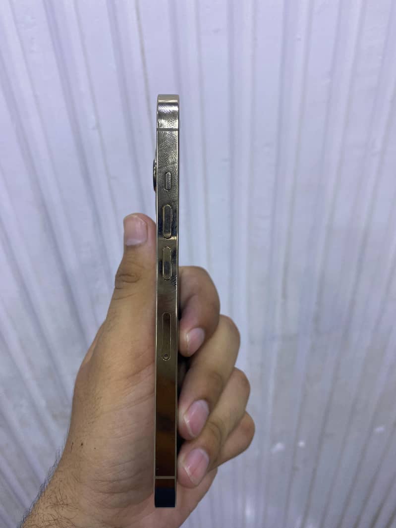 Apple iPhone 13 Pro 1