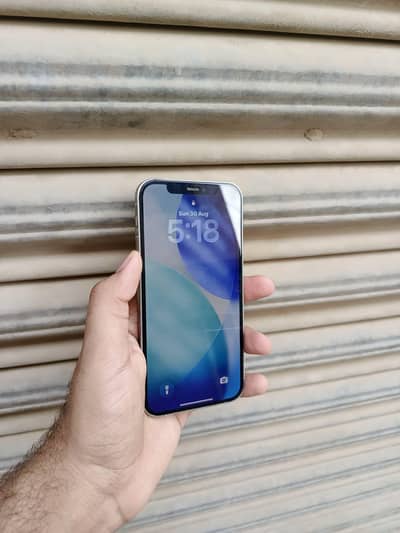 Apple iPhone 12 Pro