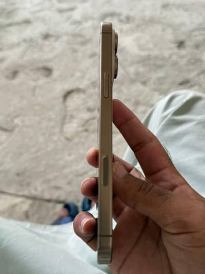 Apple iPhone 16 Pro Max (non pta)