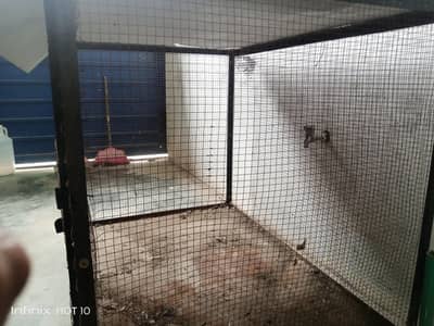 big cage for hen