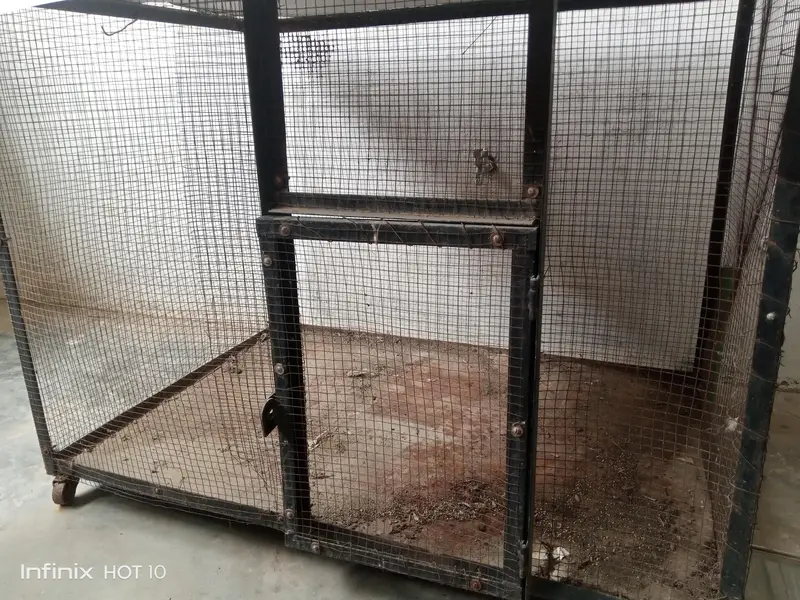 big cage for hen — photo 2
