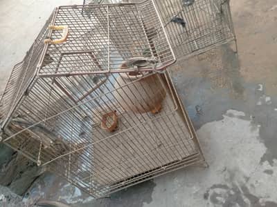 Birdcage
