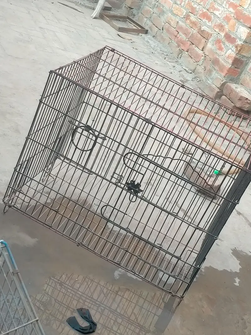 Birdcage — photo 3