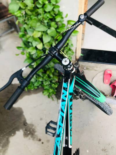 CASPIAN bicycle